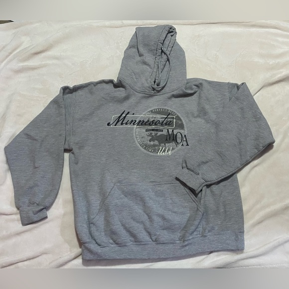 Mall of America Minnesota gray hoodie - Picture 1 of 4